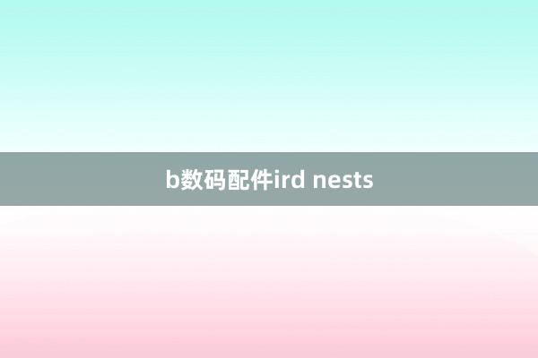 b数码配件ird nests